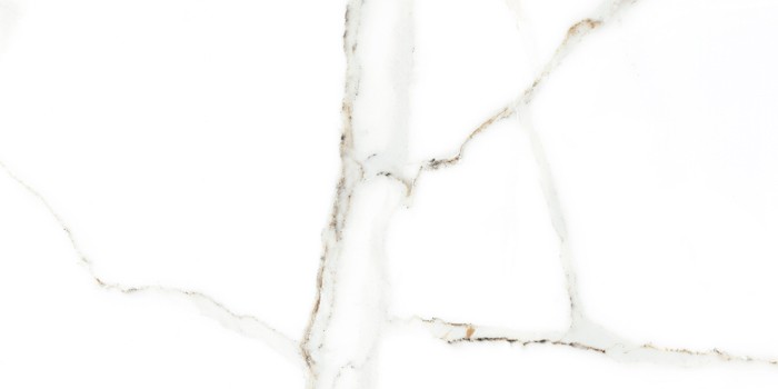 Πλακάκι Wall Tiles IJ 25x50 DELPHI WHITE 4928 - Image 4