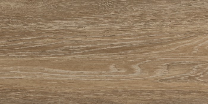 Πλακάκι Wall Tiles IJ 25x50 DELPHI WOOD 4929