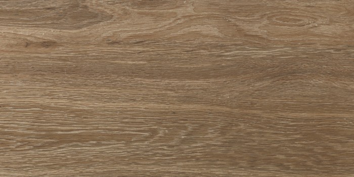 Πλακάκι Wall Tiles IJ 25x50 DELPHI WOOD 4929 - Image 2