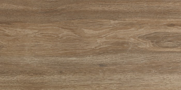 Πλακάκι Wall Tiles IJ 25x50 DELPHI WOOD 4929 - Image 4