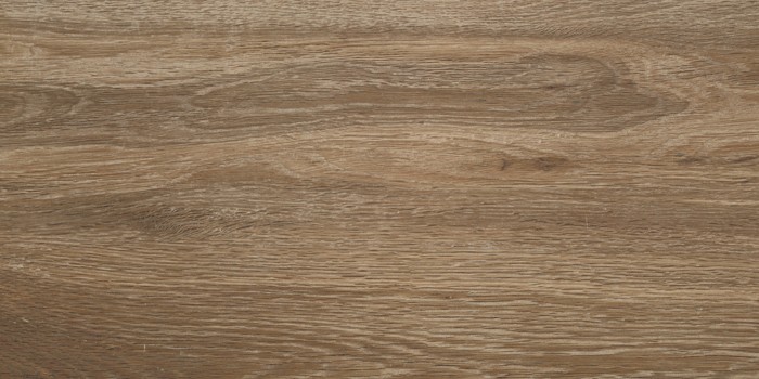 Πλακάκι Wall Tiles IJ 25x50 DELPHI WOOD 4929 - Image 6