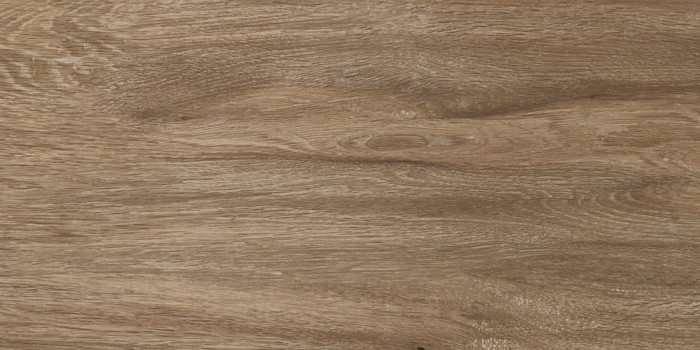 Πλακάκι Wall Tiles IJ 25x50 DELPHI WOOD 4929 - Image 7