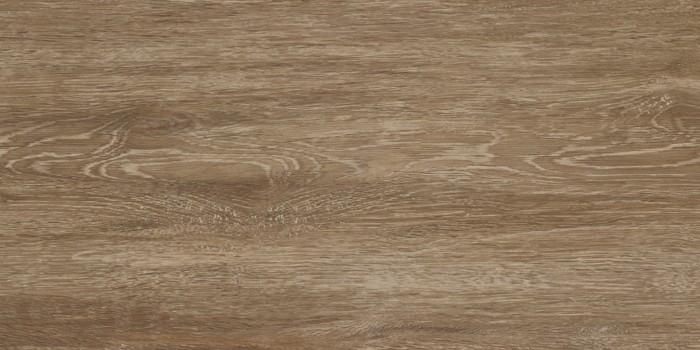 Πλακάκι Wall Tiles IJ 25x50 DELPHI WOOD 4929 - Image 8