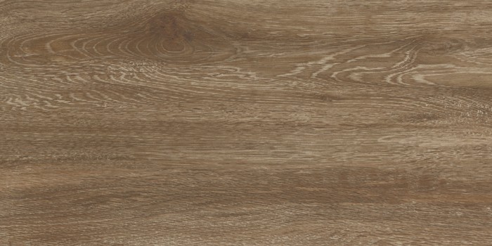Πλακάκι Wall Tiles IJ 25x50 DELPHI WOOD 4929 - Image 5